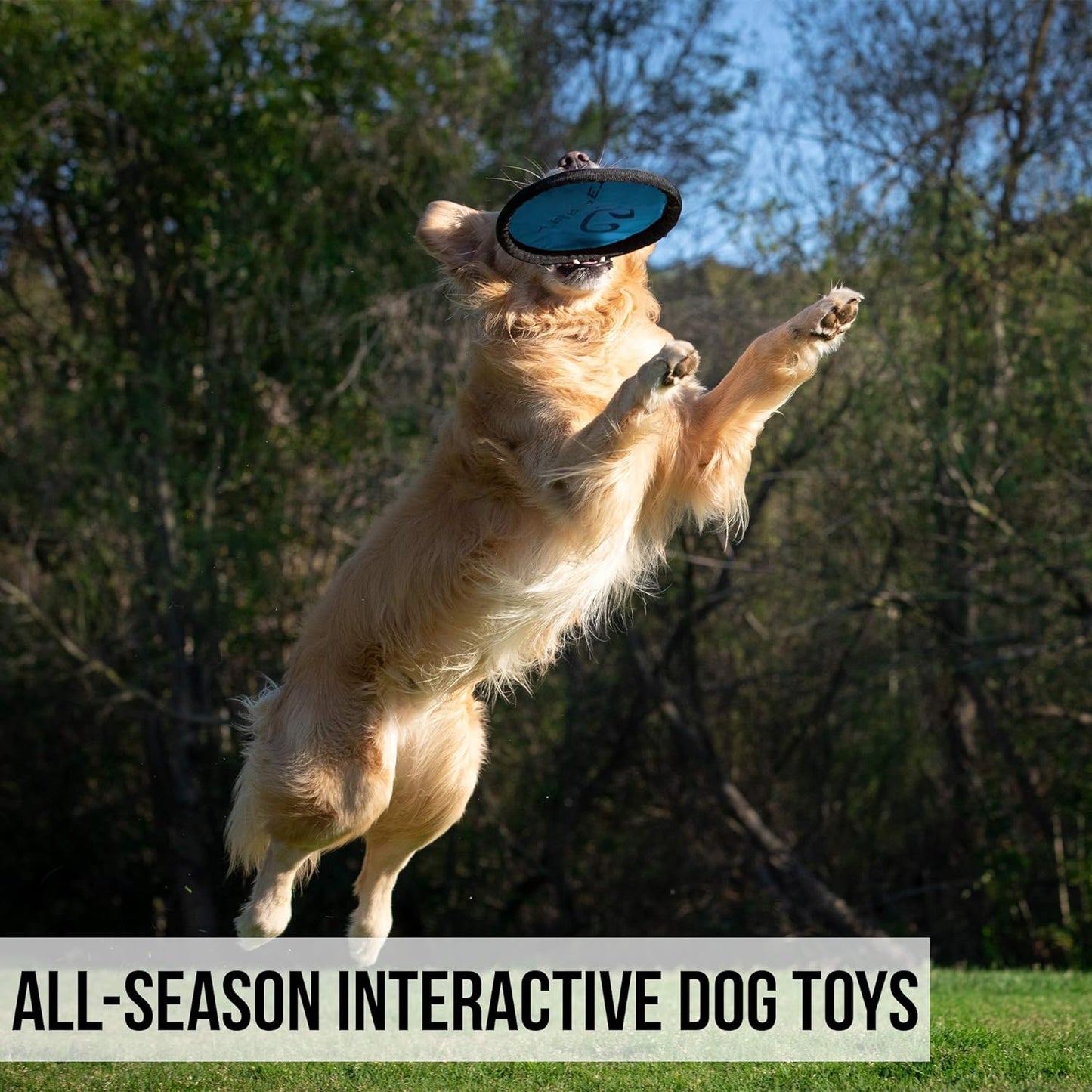 Frisbee Interactive