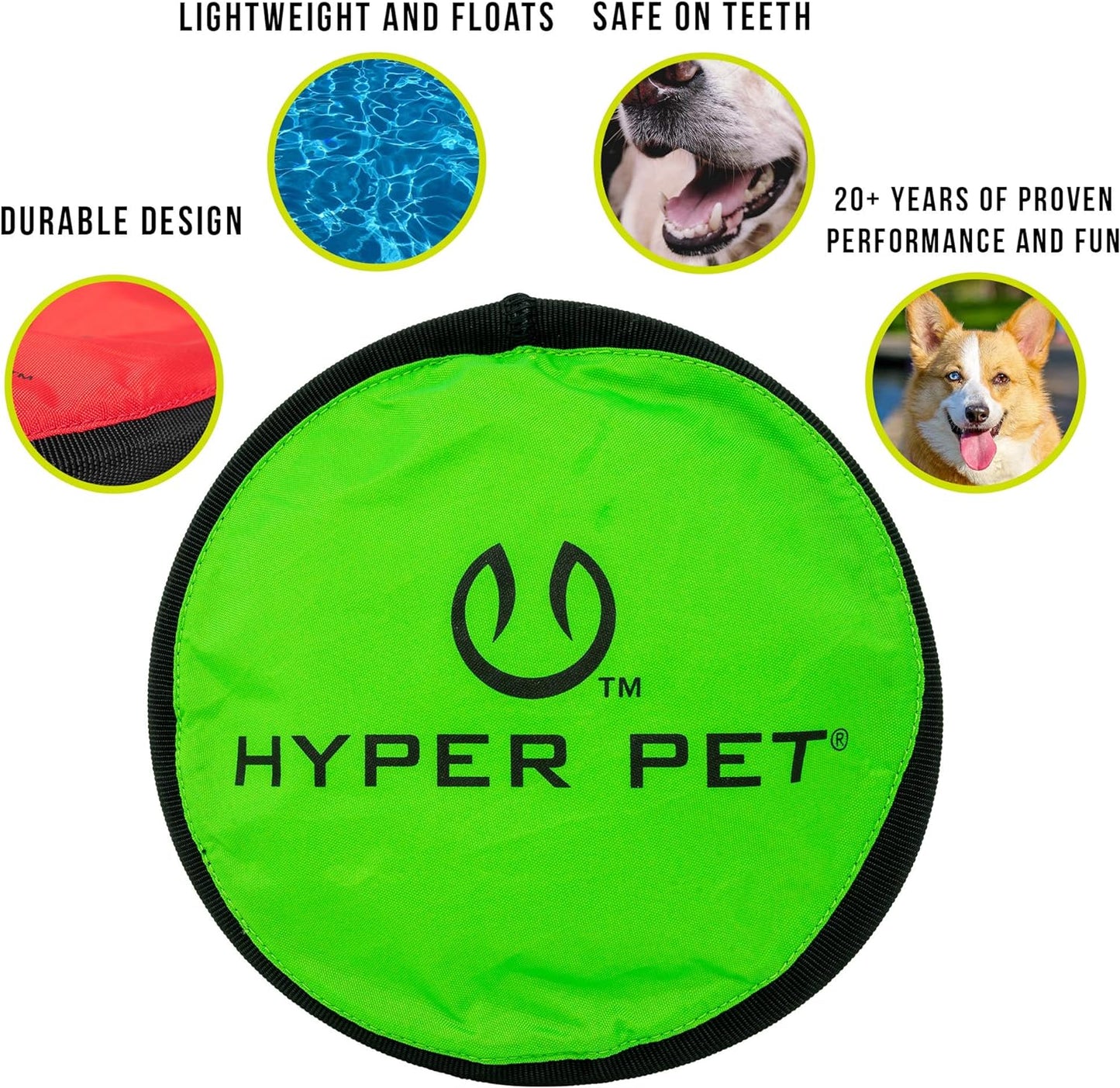 Frisbee Interactive