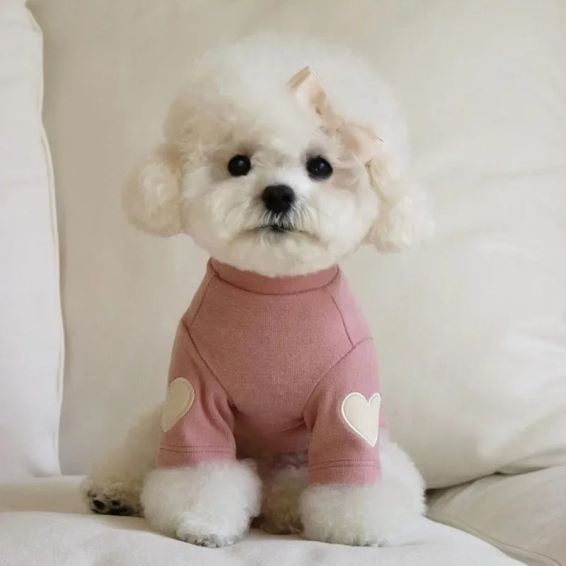 Love Heart Pet Shirt