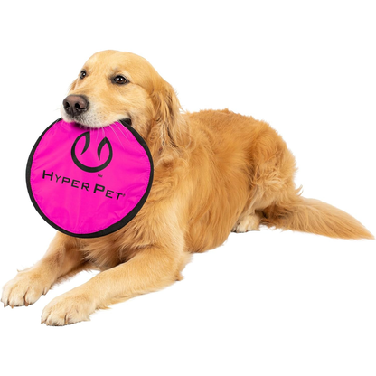 Frisbee Interactive
