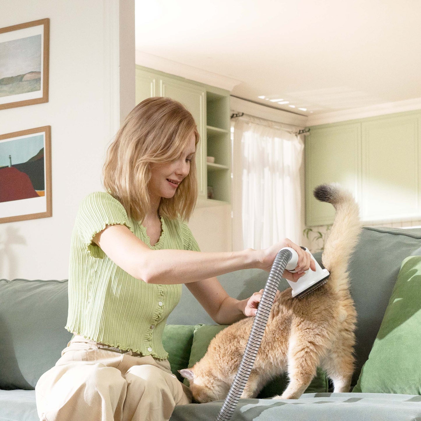 Nova P1 5-in-1 Pet Vacuum Grooming Kit