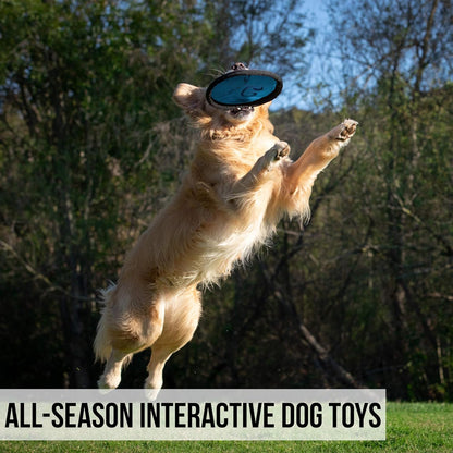 Frisbee Interactive