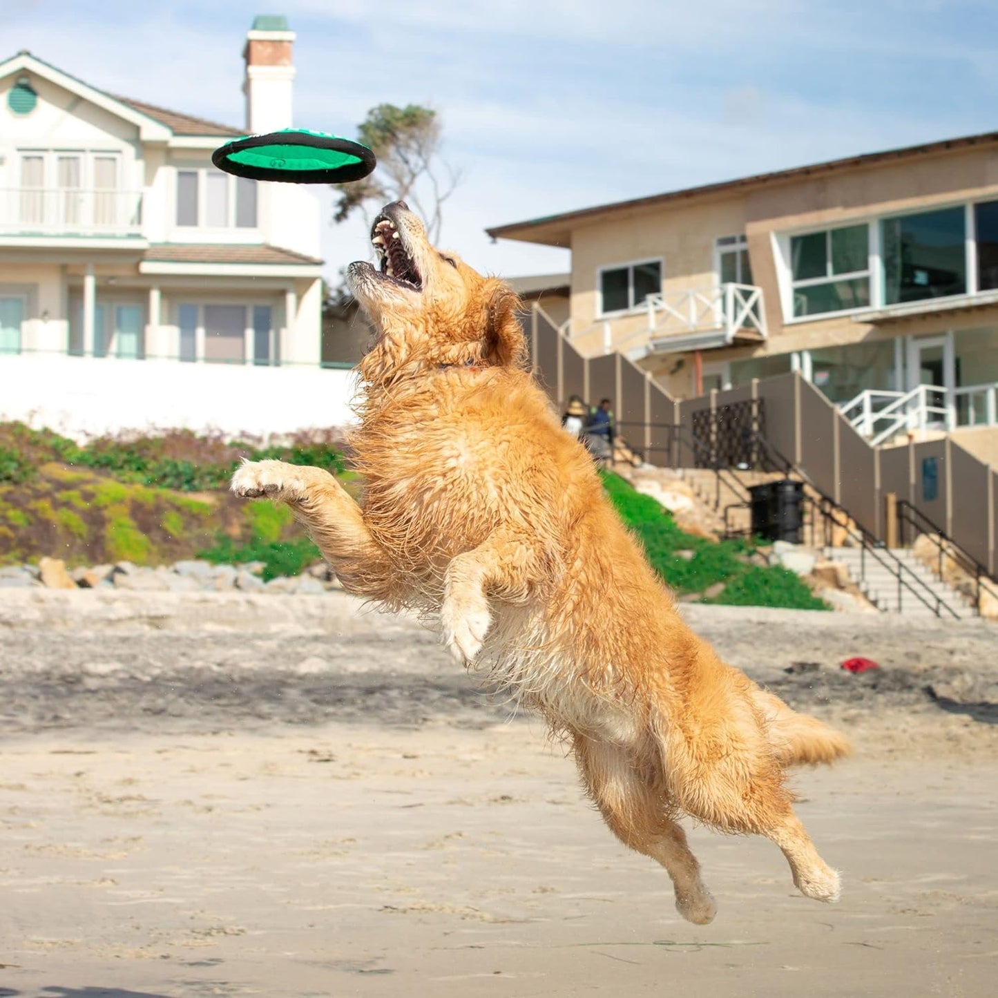 Frisbee Interactive