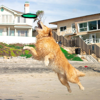 Frisbee Interactive