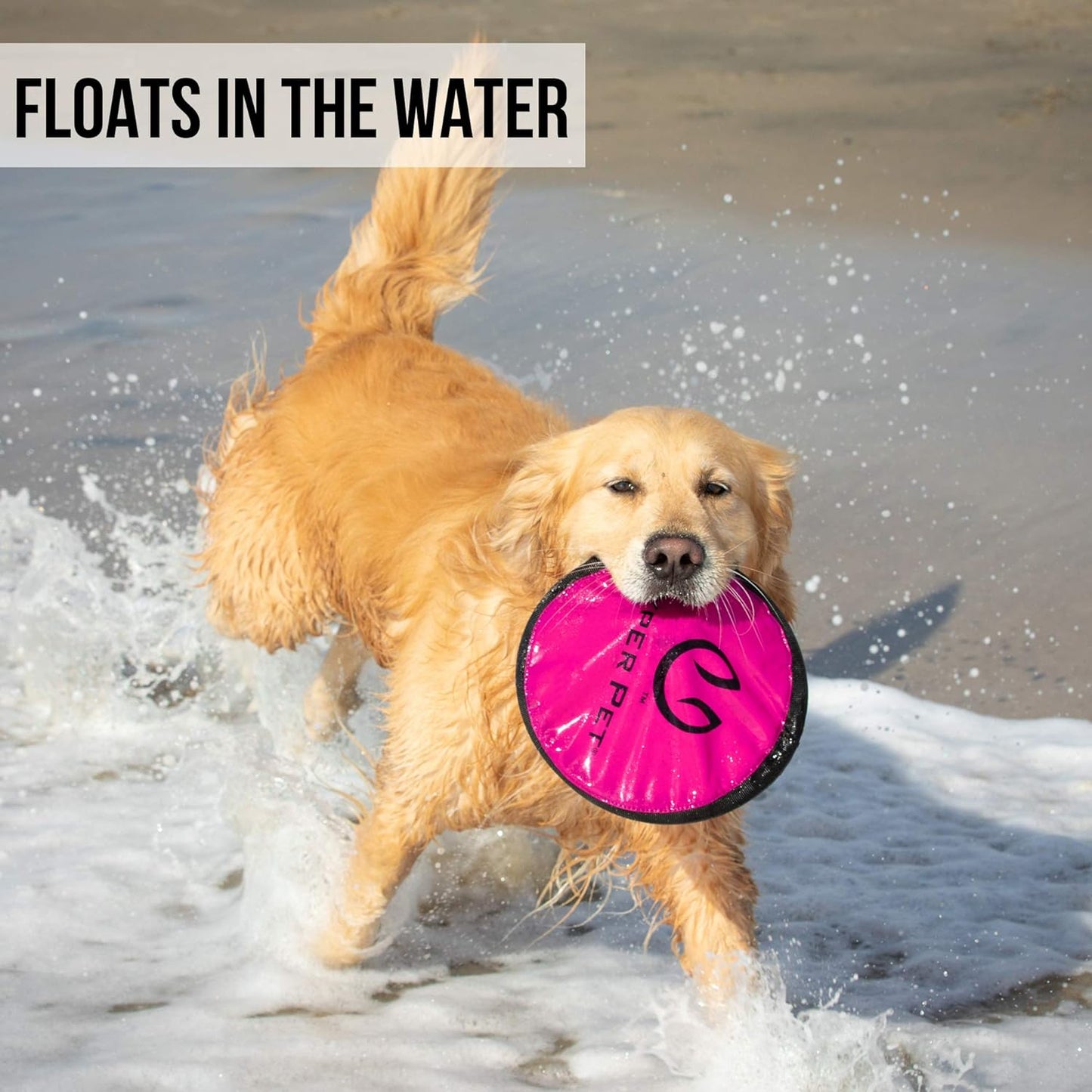 Frisbee Interactive
