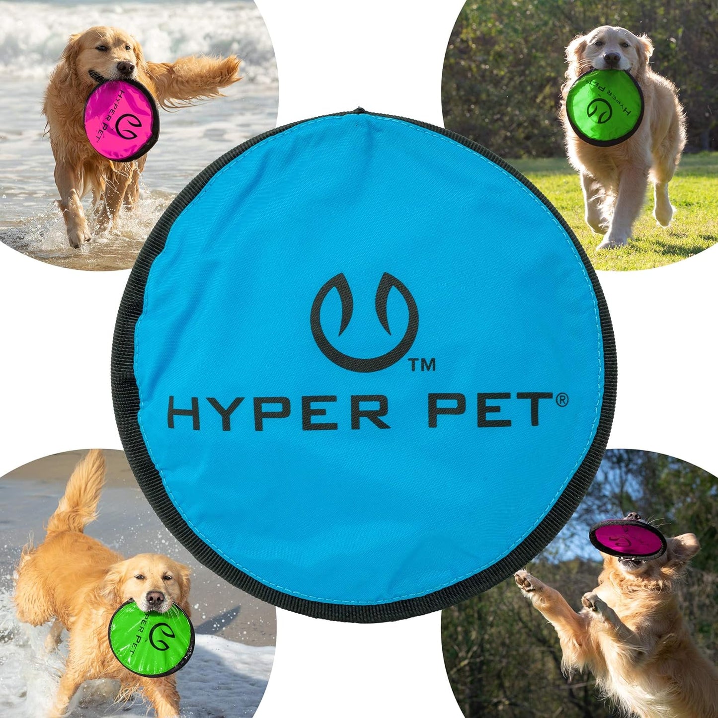 Frisbee Interactive