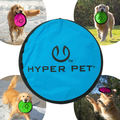Frisbee Interactive