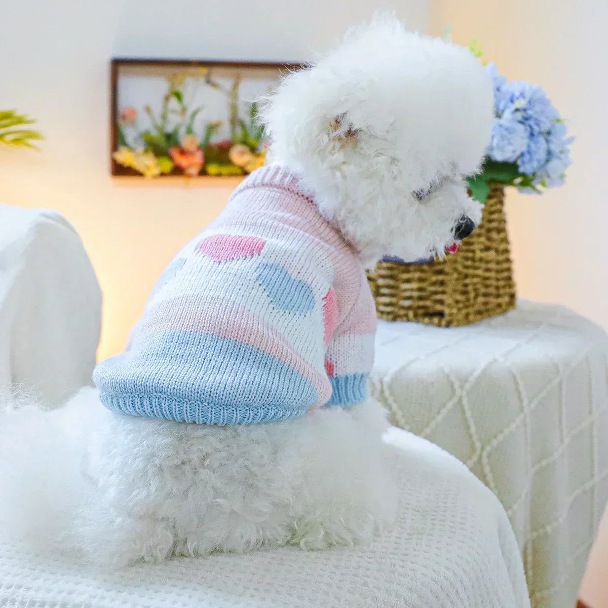 Lovely Dog Sweater