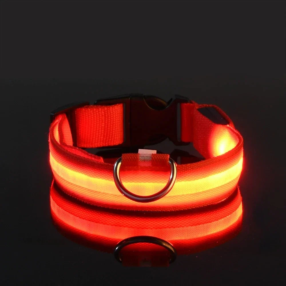 LED Glow Dog Collar for Security