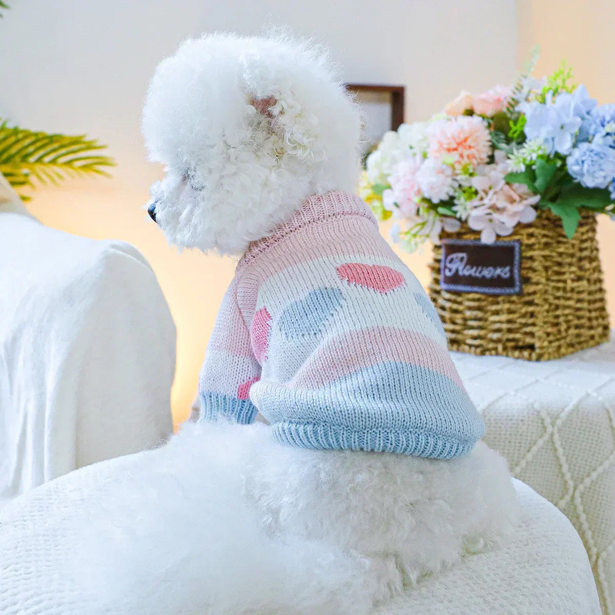 Lovely Dog Sweater