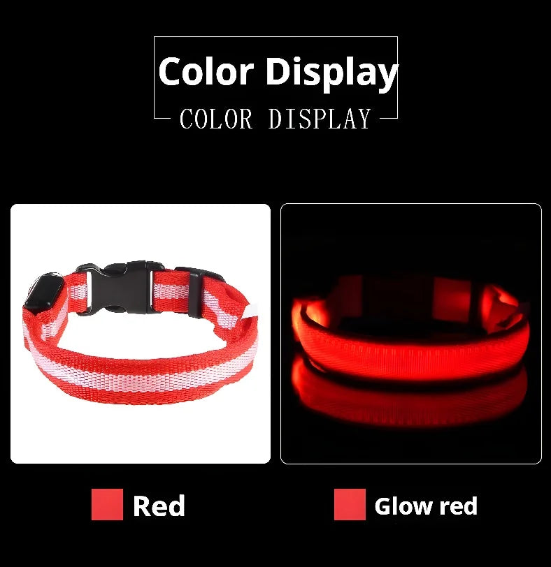 LED Glow Dog Collar for Security