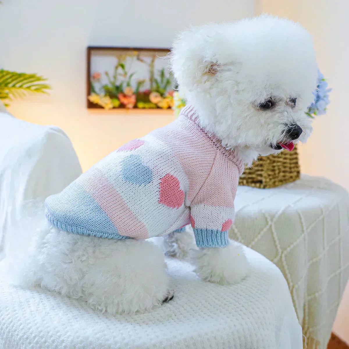 Lovely Dog Sweater