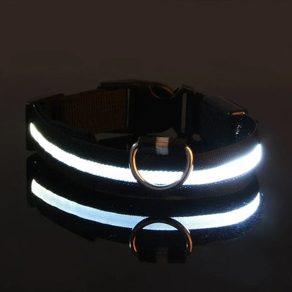 LED Glow Dog Collar for Security