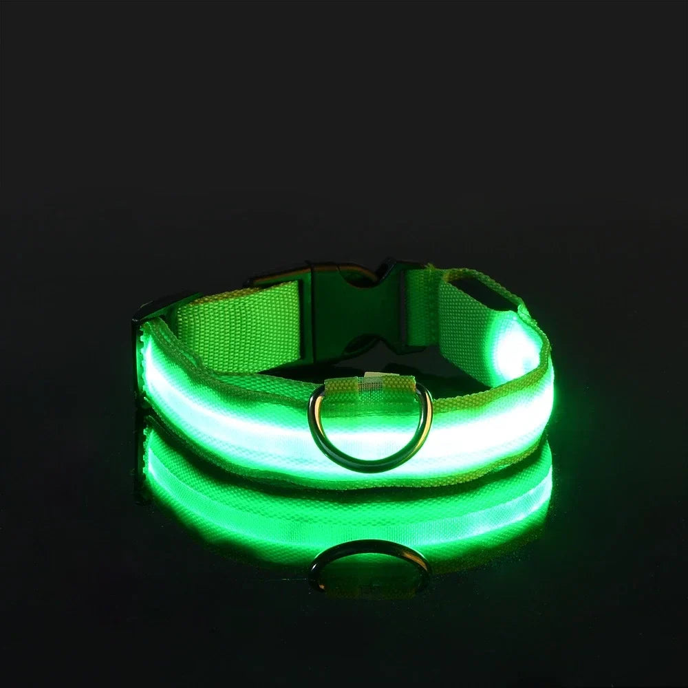 LED Glow Dog Collar for Security