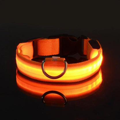 LED Glow Dog Collar for Security