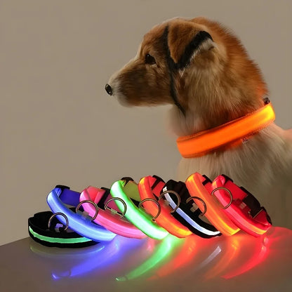 LED Glow Dog Collar for Security