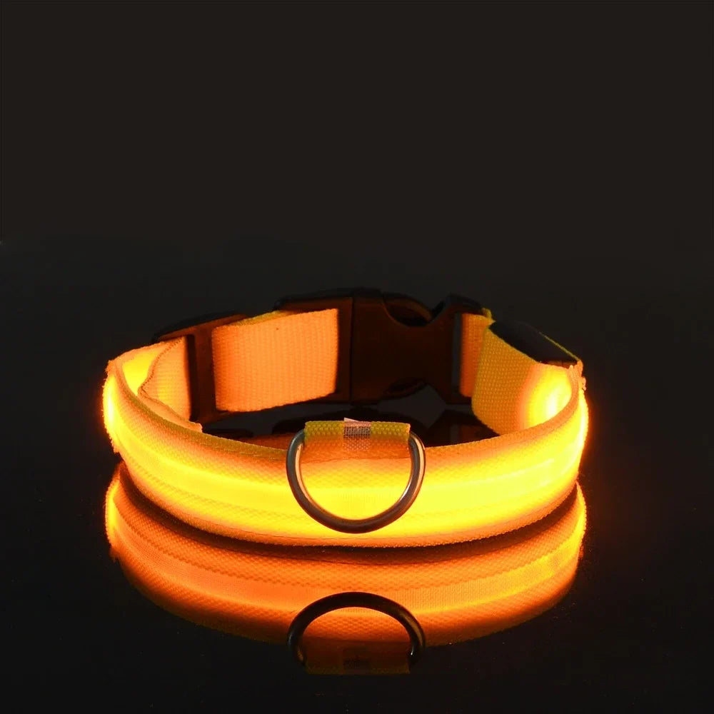 LED Glow Dog Collar for Security