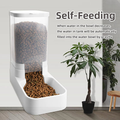 Automatic Gravity Feeder